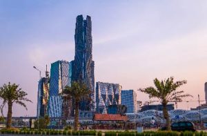 P3M3 : A Strategic Milestone for PIF  - synexcell