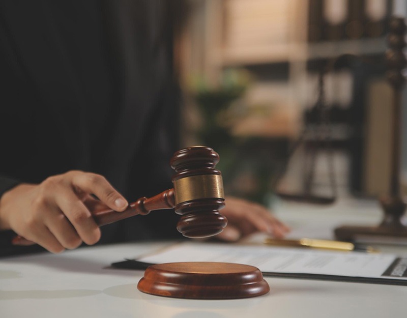 Project Management Office and Project Governance - Synexcell