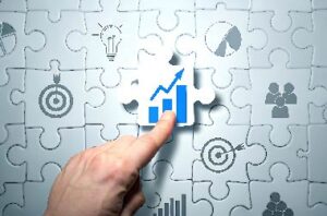 Organizational Excellence for Sustainable Success - synexcell